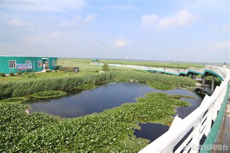 大庆龙凤湿地自然保护区，位于位于黑龙江省大庆市龙凤区境内东南