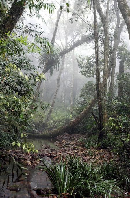 【热带雨林摄影图片】厦门风光摄影_太平洋电脑网摄影部落