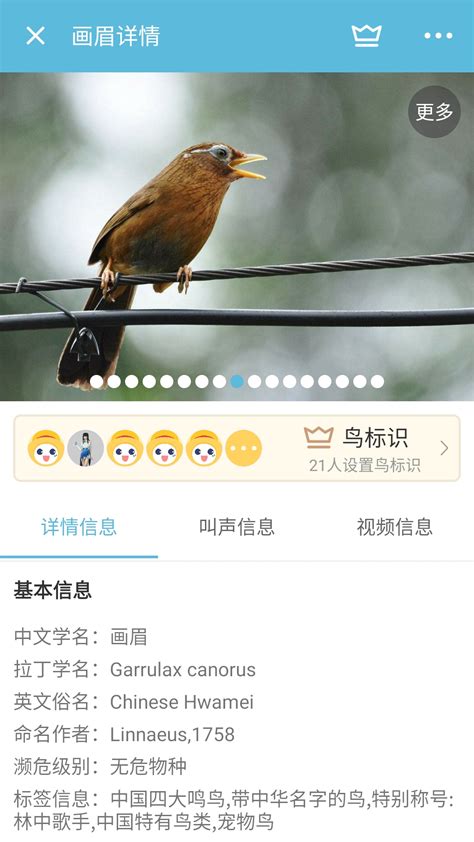 鸟叫声大全下载2019安卓最新版_手机app官方版免费安装下载_豌豆荚