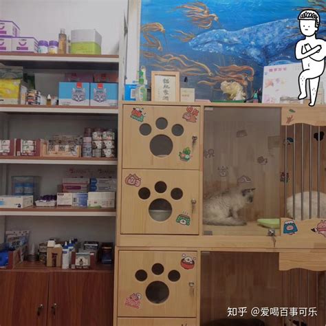 猫舍图片宠物店,家庭,贩卖_大山谷图库