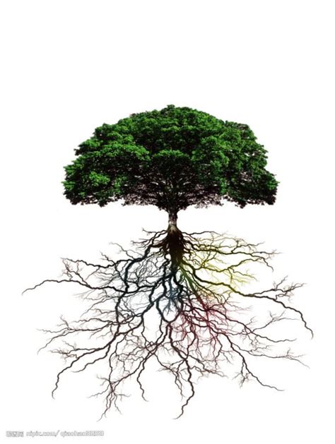 科学网—一图解读之如何栽种出枝繁叶茂的“成才树” - 王进的博文