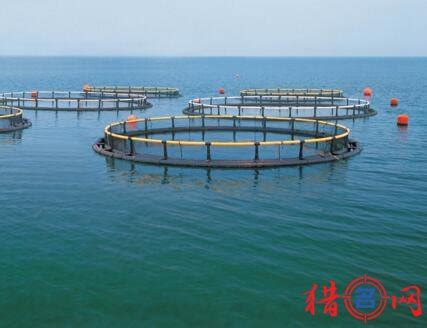 水产养殖学专业（Aquaculture）