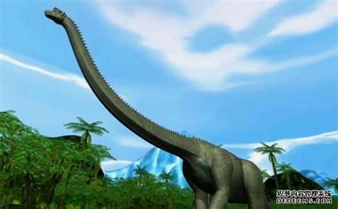 波塞东龙：已知最高的恐龙（17米高/北美洲超巨型恐龙）-小狼观天下