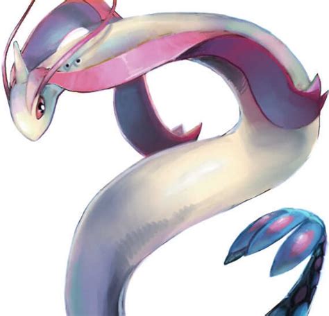 美纳斯图片