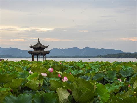 杭州西湖夜景风景照摄影图__国内旅游_旅游摄影_摄影图库_昵图网nipic.com