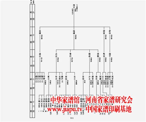 家谱 族谱设计图__广告设计_广告设计_设计图库_昵图网nipic.com