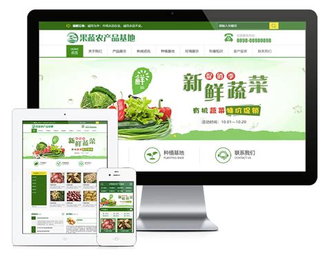 农业企业官网/农产品/农业技术/农业资讯网站_xiaojing_0331-站酷ZCOOL