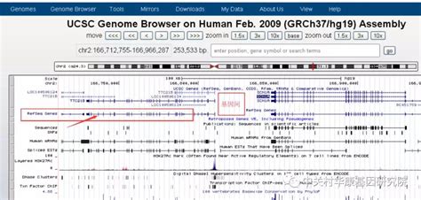 【生物信息学笔记】UCSC基因组浏览器_track