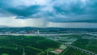 湖北黄冈大别山出现雨凇-高清图集