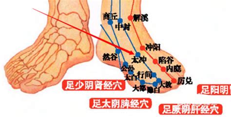 太冲穴准确位置图图片 太冲穴准确位置图图片