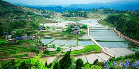 宣汉县农业农村经济高质量发展纪实 - 达州日报网