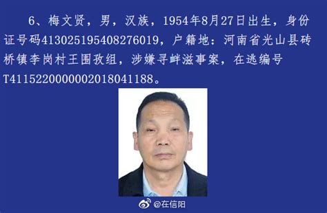 山东“辱母案”追踪：涉黑头目吴学占已被逮捕_手机新浪网