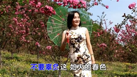 旗袍女人《春天的故事》_凤凰网视频_凤凰网