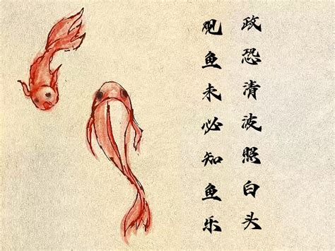 知鱼图片