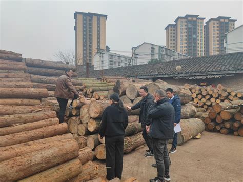 江阳区开展木材市场专项执法检查 _www.isenlin.cn