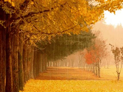 一场秋雨一场寒，静待秋天的颜色-英地天骄华庭业主论坛- 郑州房天下