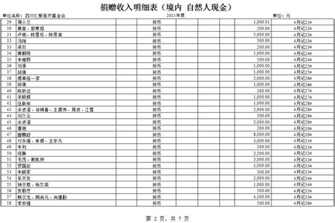 四川仁爱医疗基金会2013年捐赠收入和公益项目支出明细清单_四川 ...