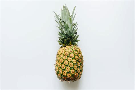 怎么在家种植一棵菠萝？最详细教程！_360新知