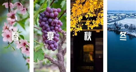 穿越四季，领略吴江的美丽风光 -上海市文旅推广网-上海市文化和旅游局 提供专业文化和旅游及会展信息资讯