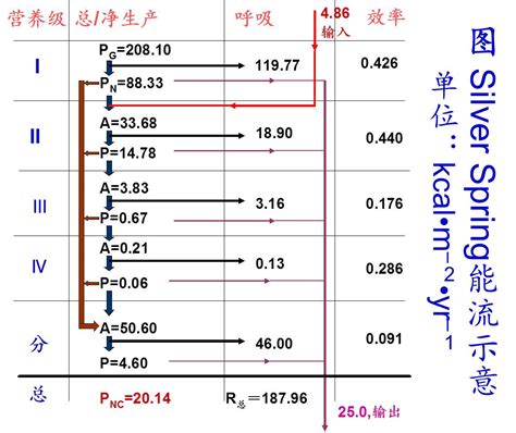 能流图图片