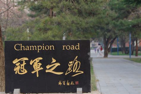 北京体育大学-掌上高考