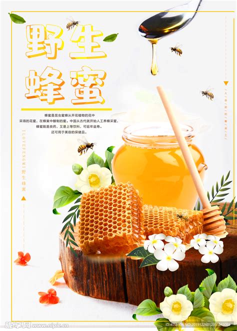 野生蜂蜜设计图__海报设计_广告设计_设计图库_昵图网nipic.com