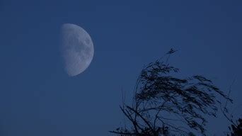 月朦胧，鸟朦胧……摄于秋雨过后的月圆之夜-中关村在线摄影论坛