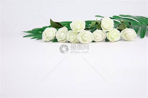 ins叶子风图片