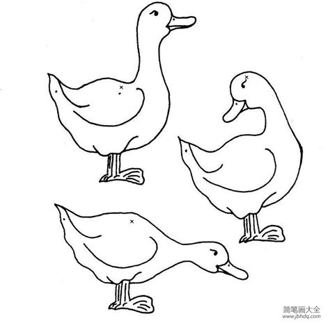 学画简笔画，可爱的小鸭 - 有点网 - 好手艺