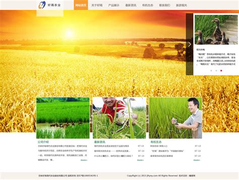农业企业官网/农产品/农业技术/农业资讯网站|网页|门户/社交|xiaojing_0331 - 原创作品 - 站酷 (ZCOOL)
