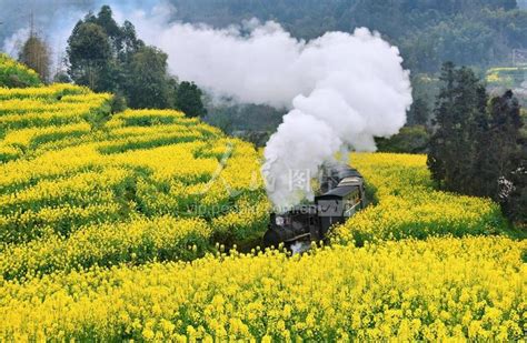 四川犍为：开往春天的小火车-人民图片网