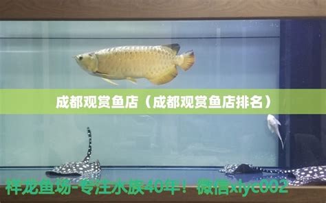 中型观赏鱼有哪些 北京最大的观赏鱼市场_金鱼 - 养宠客