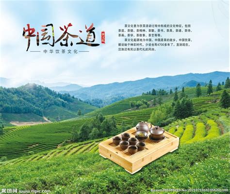 河南信阳茶文化节将启幕 以茶为媒毛尖搭桥揽客_手机新浪网