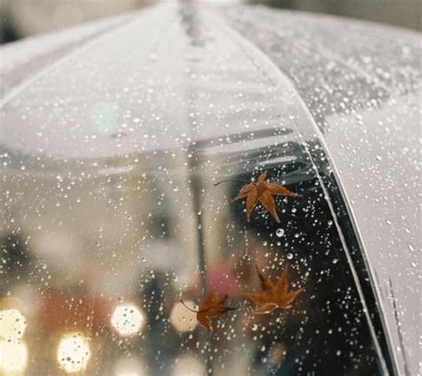 下雨天祝福语表情大全，下雨天小心路滑的平安祝福语录