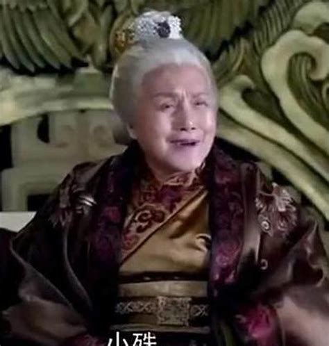《琅琊榜》中为何太皇太后和静妃一眼就看出了梅长苏是林殊？