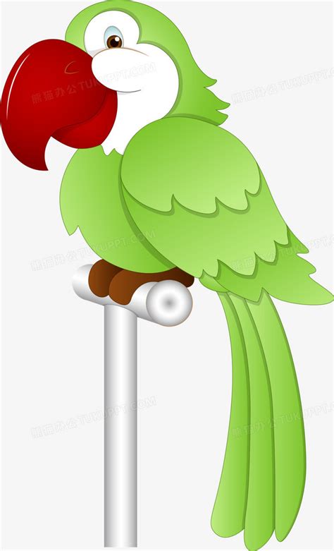 鹦鹉动画表情包图片