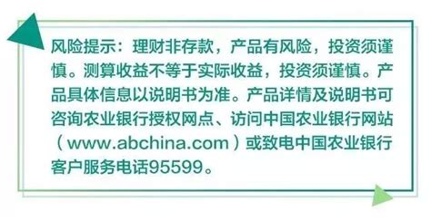 中国农业银行app电脑版下载_中国农业银行电脑客户端pc下载_核弹头软件