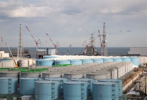 日本福岛核污水将排入大海！日本首相：经稀释后能喝；网友：那你喝呗！_托福综合_新航道官网