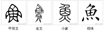 《鱼》的笔顺_演示鱼的笔顺及鱼字的笔画顺序 - 汉字笔顺 - 汉字笔顺网