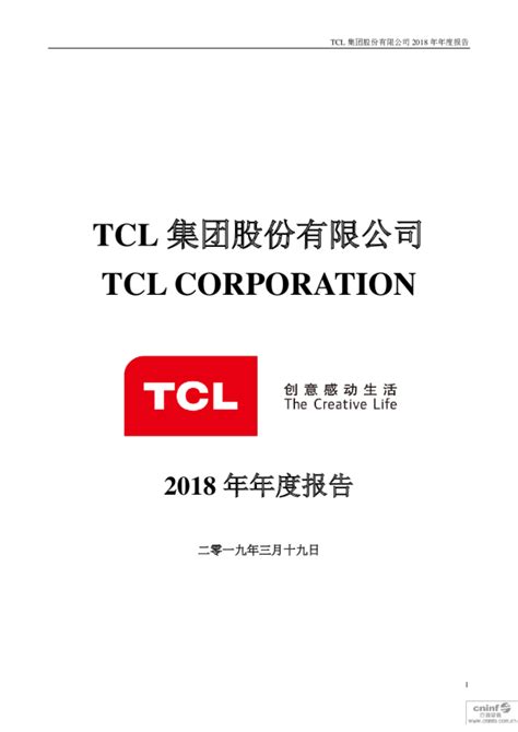 TCL 集团：2018年年度报告