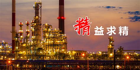 潍坊特钢集团安全生产标准化管理系统