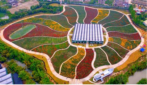 浙江台州：“绿色经济”修复生态-人民图片网
