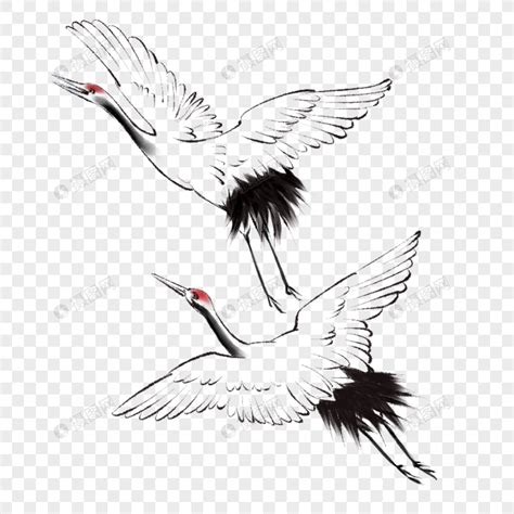 鹤古风简笔画头像女生版