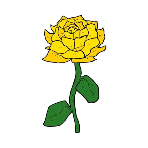 Sárga rózsa rajz — Stock Vektor © baavli #64339165