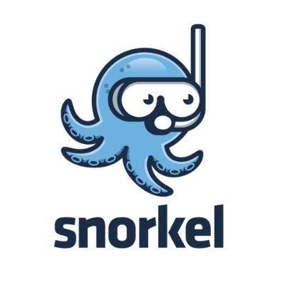 Snorkel AI Stock Price, Funding, Valuation, Revenue & Financial Statements