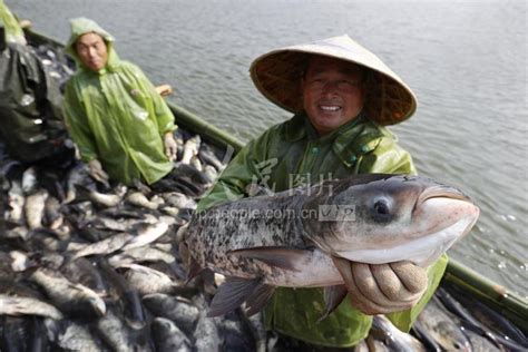 江西峡江：“鱼跃人欢”冬捕忙-人民图片网
