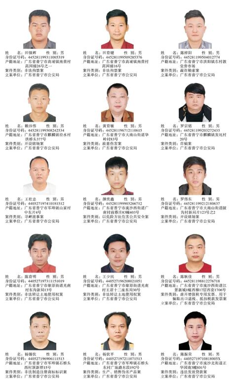 一个月抓获、劝投在逃人员71人 我市公安机关切实保障人民群众生命财产安全