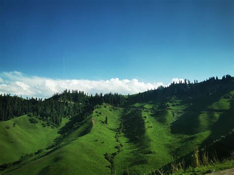 新疆美景——那拉提：空中草原之二-原创摄影作品-飞天资源论坛