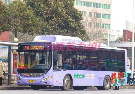 2020洛阳公交停运和调整信息_旅泊网