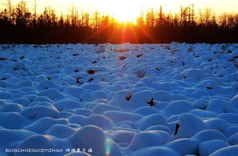 科学网—冻土带上的荒原之美--黑龙江伊春红星玄武岩石海 - 吕洪波的博文
